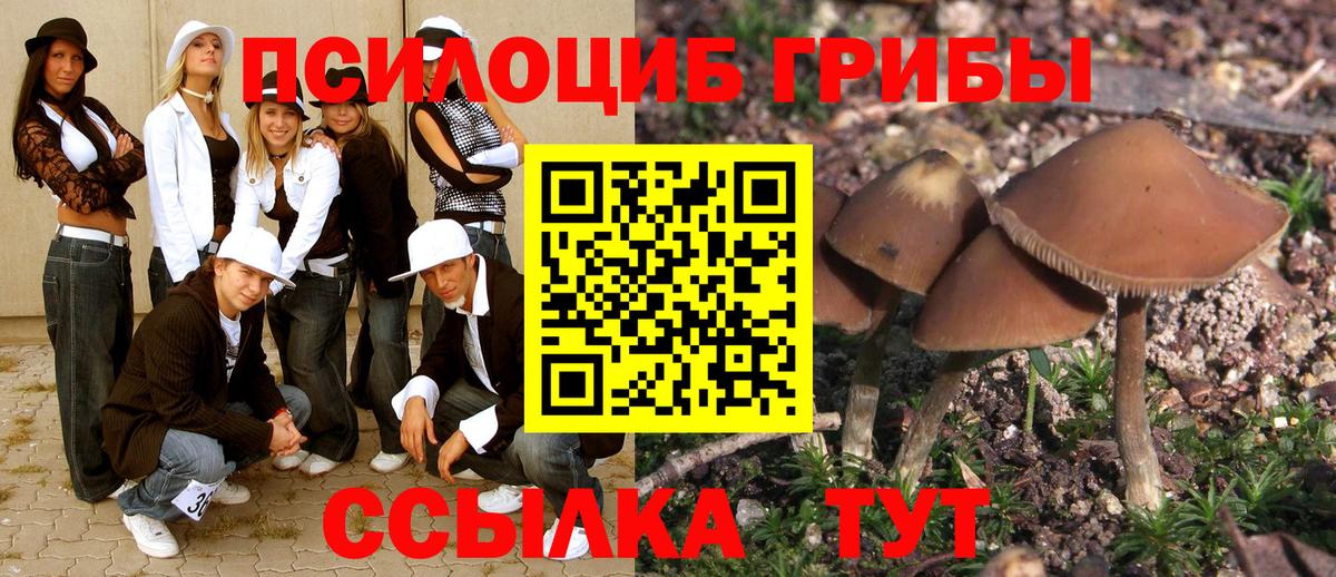 Галлюциногенные грибы ЛСД Керчь