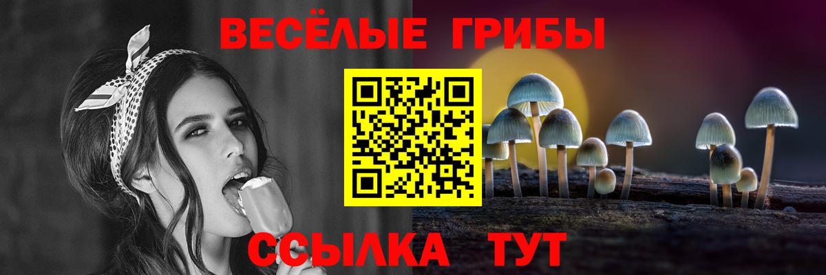 Керчь  Галлюциногенные грибы мухоморы  Псилоцибиновые грибы MAGIC MUSHROOMS  Вход с VPN 